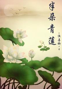 梦幻西游跑镖的路线图