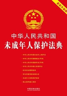 我的世界音乐之影子之战