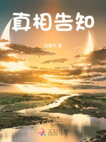 飞行模拟新飞机破解版