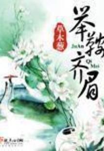 黎明之光mod