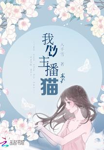 放置江湖铁掌帮声望装备