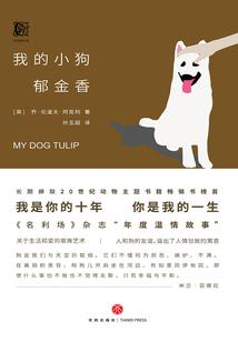 星际王者