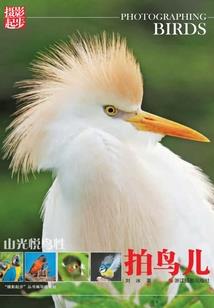 阴阳师樱花妖怎么样