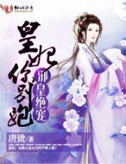 荒野大师颜色