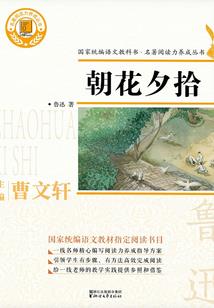 荒野主题露营