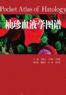 梦幻西游syl