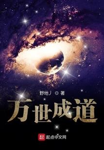 荒野搜寻号