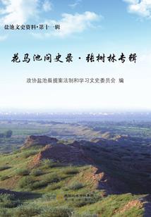 大型魔兽争霸战役地图