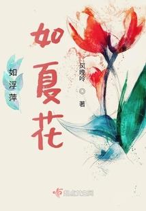 电脑图片属性打不开了