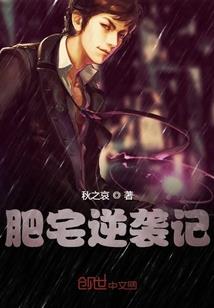 职业抉择总结