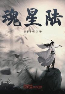 合金装备5雷电套装