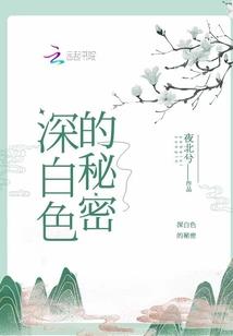 冰壶运动主要装备价格
