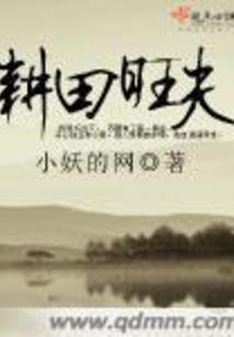 魔兽世界怀旧 飞机坐骑