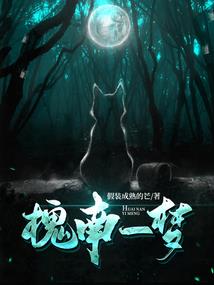 阴阳师式神5升6星