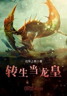 梦幻西游星彩