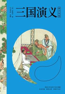 荒野之息 电迷宫