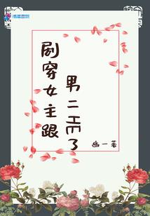 黑暗赛尔达公主mod