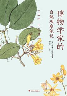 辅助夏侯应该出什么装备