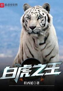 梦幻西游的网址是什么