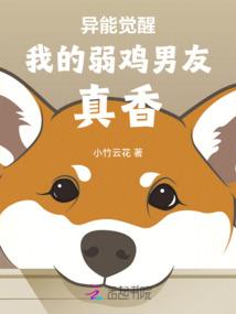 watermarkremover破解版
