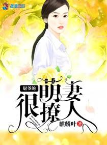 魔兽世界背包不显示