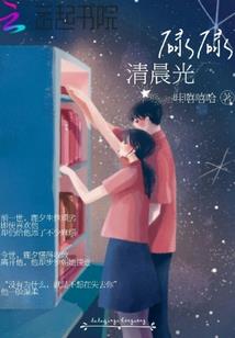 碧蓝狐装备