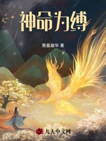 郑州磊沃智能装备