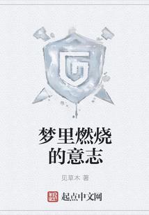 魔兽世界老雷猎人输出宏