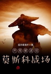 逍遥每升一级加多少属性
