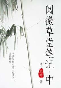 mc小白必备mod