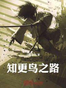荒野乱斗海外四服下载