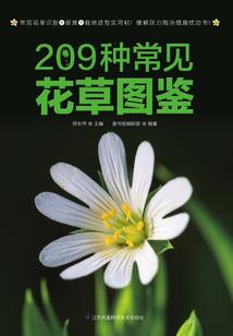 王者荣耀助手本命英雄