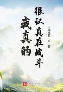 bigjip破解版