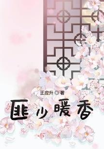 小小飞机游戏