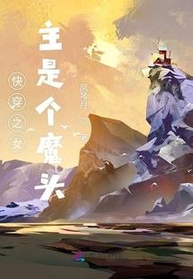 神农宝藏攻略