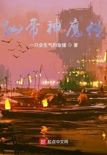 人型狂豹套装减什么属性