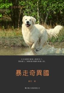 王者天下灭国