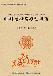 阴阳师式神麓铭大约晚