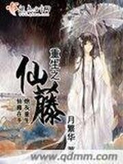 卡片怪兽紫色装备