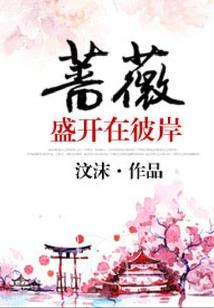 高爆率传奇手游