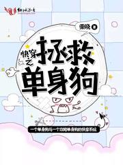 王牌家族新阵容装备