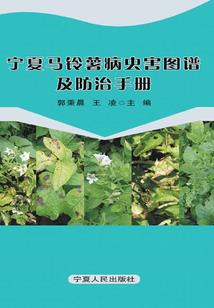 我的世界让道具变名字