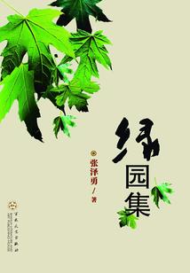 凯的最强装备方案打野