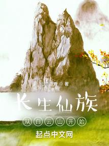 绍兴同城游戏记牌器
