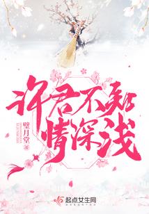 激战2武器皮肤装备等级