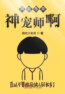 梦幻西游手游雷鸟加点