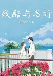 鑫攻略