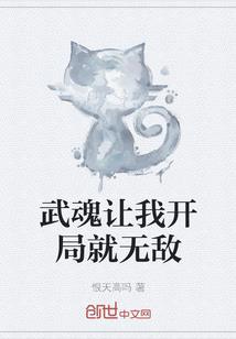 荒野间谍2英文免费观看