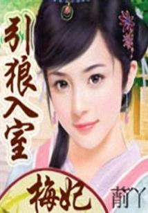 借款给职业放贷人
