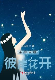 职业套装女士高档